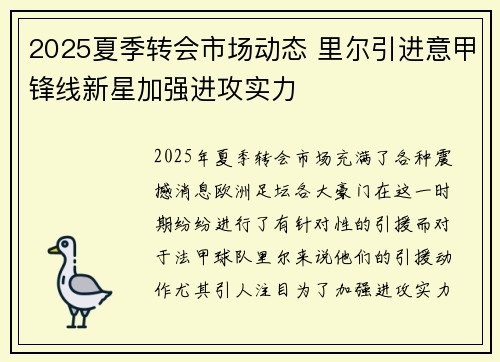 2025夏季转会市场动态 里尔引进意甲锋线新星加强进攻实力